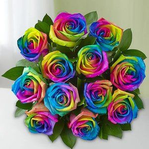 Meet your Posher, Tricia